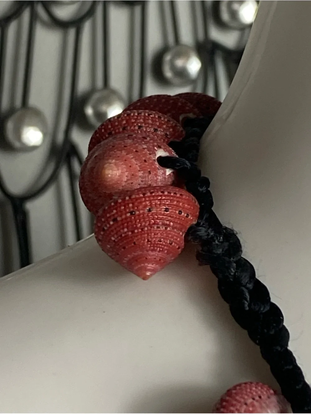 Strawberry top shell shells Cord Necklace 21”